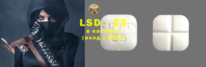стаф Касимов