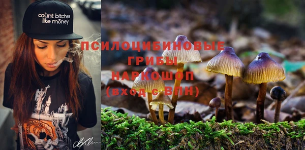 стафф Армянск