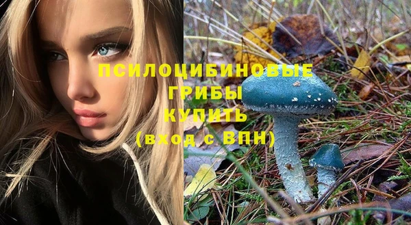 стафф Армянск