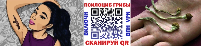 Галлюциногенные грибы прущие грибы  Закаменск 