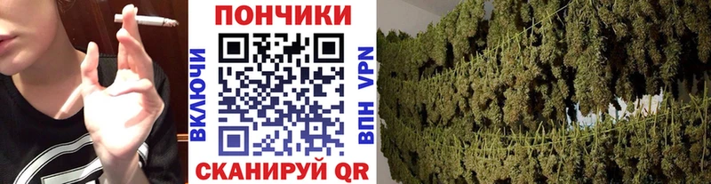 Канабис MAZAR что такое наркотик Закаменск
